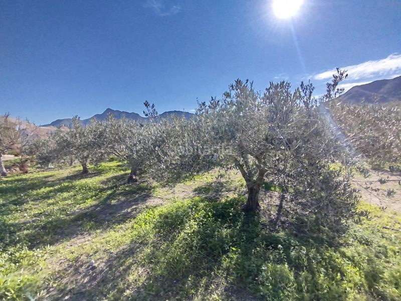 Foto 28ff93fe-6761-41cf-a209-9c429a81604a. House with pool in Mazarrón casco urbano Mazarrón