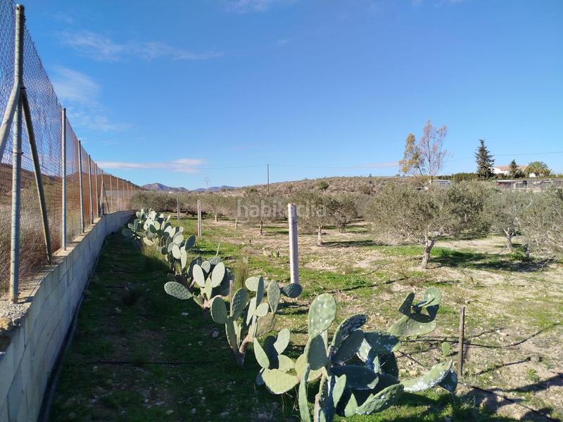 Foto 761173da-60f1-45ce-ba4c-4b2bc478711a. House with pool in Mazarrón casco urbano Mazarrón