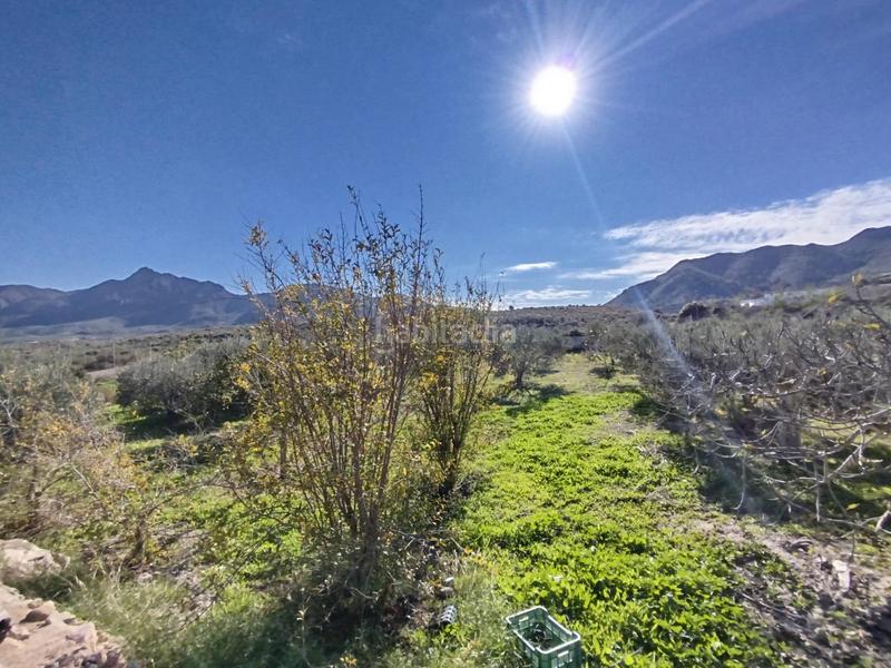 Foto ae3a3c2c-1c9f-4a46-979f-64a5e3f66981. House with pool in Mazarrón casco urbano Mazarrón