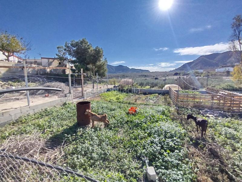 Foto b03bdc6b-d08d-4afe-8942-b45839d03694. House with pool in Mazarrón casco urbano Mazarrón