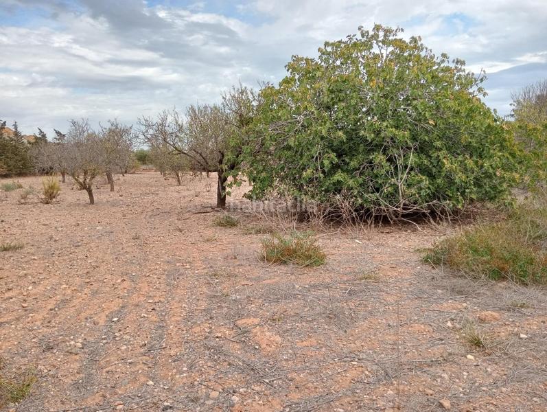 Foto 65592f5b-8563-43ad-b88f-f07db33a53c7. Masía la esperanza cruce con la union terrenos y casas en Unión (La)