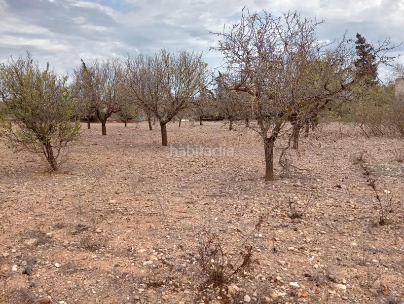 Foto c23002cd-b9a7-43d5-a834-e93dcc1d2017. Masía la esperanza cruce con la union terrenos y casas en Unión (La)