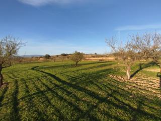 Casa a La Pinilla - Las Palas. Escápate al campo en las palas por solo 75000 !