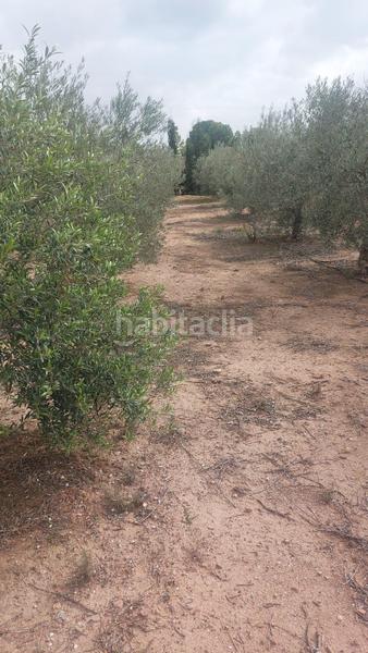 Foto a615592f-1670-4f90-b32a-3b7428ab1c96. Bauernhof mit parking pool in Alhama de Murcia ciudad Alhama de Murcia