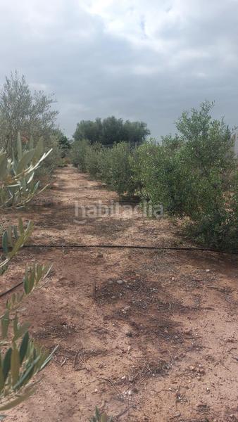 Foto cd20ae3e-afc3-4e0f-9e61-d9281ca053c8. Bauernhof mit parking pool in Alhama de Murcia ciudad Alhama de Murcia