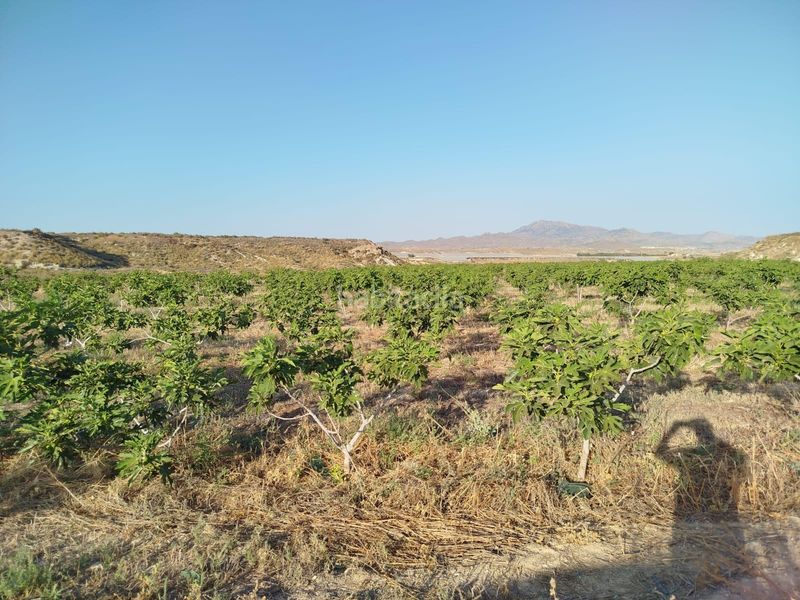 Foto 7f4858ff-3026-403e-a0df-3e7eb8028d11. Terreny residencial a Bolnuevo Mazarrón