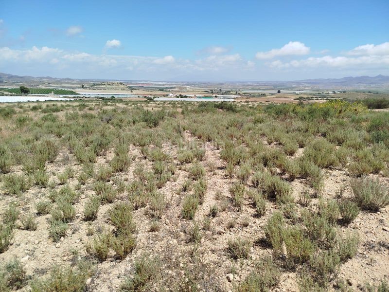 Foto 57dea48a-992a-4379-afd1-673dbeccb373. Finca rústica a Mazarrón casco urbano Mazarrón