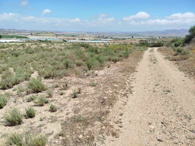 Foto b1b5ef50-81c6-49ae-8433-d32a561f04f9. Finca rústica a Mazarrón casco urbano Mazarrón