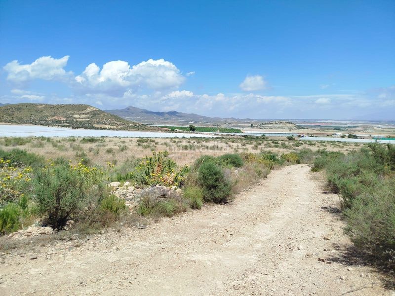 Foto d0329897-ebe6-4de0-b20e-b2ab9b14c806. Finca rústica a Mazarrón casco urbano Mazarrón