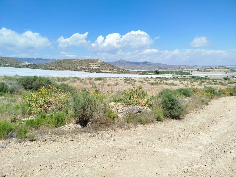 Foto d39a6cd7-f9ed-4bea-9c1f-b0337107a7dd. Finca rústica a Mazarrón casco urbano Mazarrón