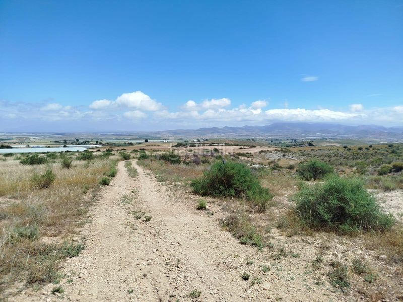 Foto f6ab351e-2889-4184-b6fc-a490cbcac5ec. Finca rústica a Mazarrón casco urbano Mazarrón