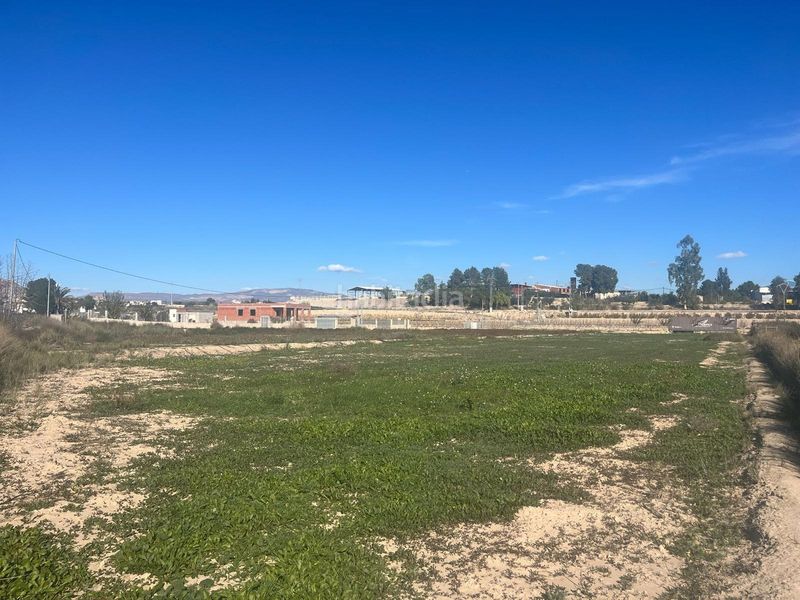 Foto 4401a425-1a47-4355-ae7a-4d995a14351b. Finca rústica a Ceutí