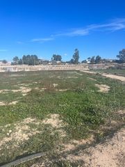 Finca rústica en Ceutí. Finca rustica en lorqui  7686 metros certificada ecologica