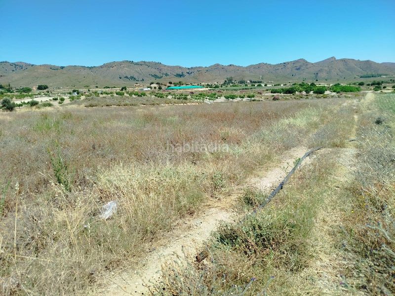 Foto 2b87f381-8774-4576-83b6-1b46674ca29f. Finca rústica a Mazarrón casco urbano Mazarrón