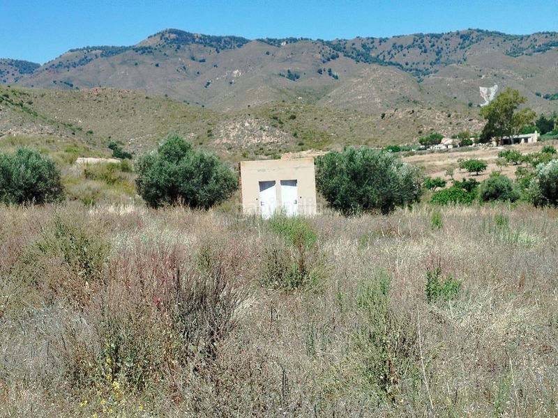 Foto 6fe4b7e7-eedd-4bf8-834b-2c34e297b7b9. Finca rústica a Mazarrón casco urbano Mazarrón