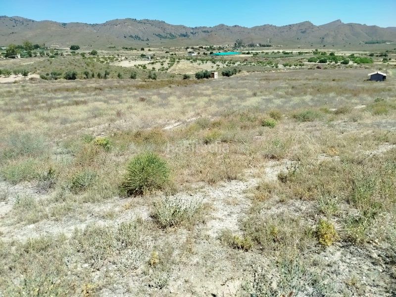 Foto 7b417fb8-de5c-43b7-b680-2b81d35d6466. Finca rústica a Mazarrón casco urbano Mazarrón