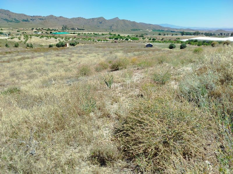 Foto 8bf42543-b224-43e0-8e74-05fe1cd8dc79. Finca rústica a Mazarrón casco urbano Mazarrón