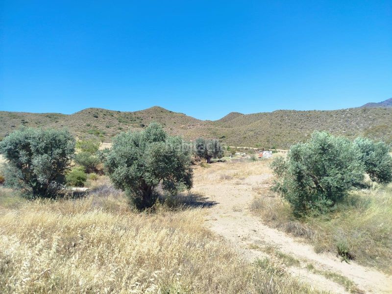Foto bf472150-2810-4680-b44c-29878f0d625b. Finca rústica a Mazarrón casco urbano Mazarrón