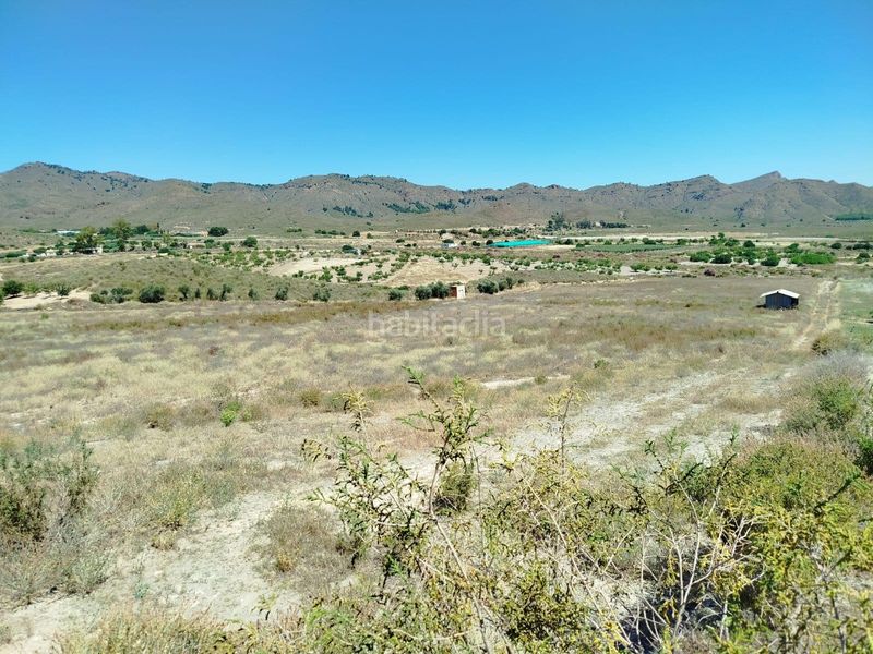 Foto d5f3d811-b1ea-41e1-9861-b3b8742a6453. Finca rústica a Mazarrón casco urbano Mazarrón