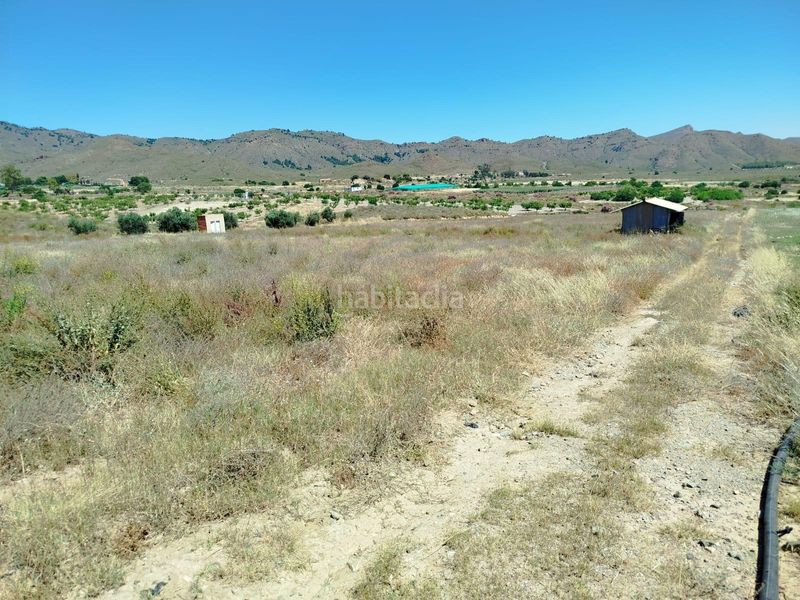 Foto e8a8a12f-fe46-47a0-a7cb-b488641ad5a5. Finca rústica a Mazarrón casco urbano Mazarrón