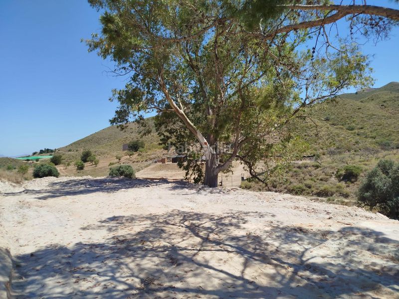 Foto 0b2e8edb-5932-4747-ae07-f0ae4e5bd10a. Finca rústica a Mazarrón casco urbano Mazarrón