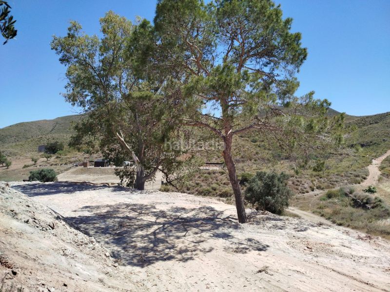 Foto fcee1b44-d94b-4ef8-a307-12bcbbe828f8. Finca rústica a Mazarrón casco urbano Mazarrón