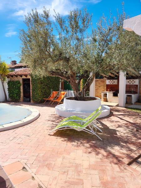 Foto d92fd64f-0a0c-4d63-b691-261c69cd319a. Chalet casa o chalet independiente en venta en calle castellón en Altura