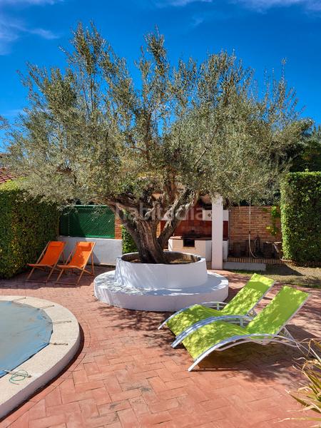 Foto ea83b70f-aaf0-4057-aabb-7bd4ccf41f1a. Chalet casa o chalet independiente en venta en calle castellón en Altura