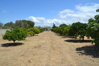 Terreny residencial a Las Lagunas - Campano