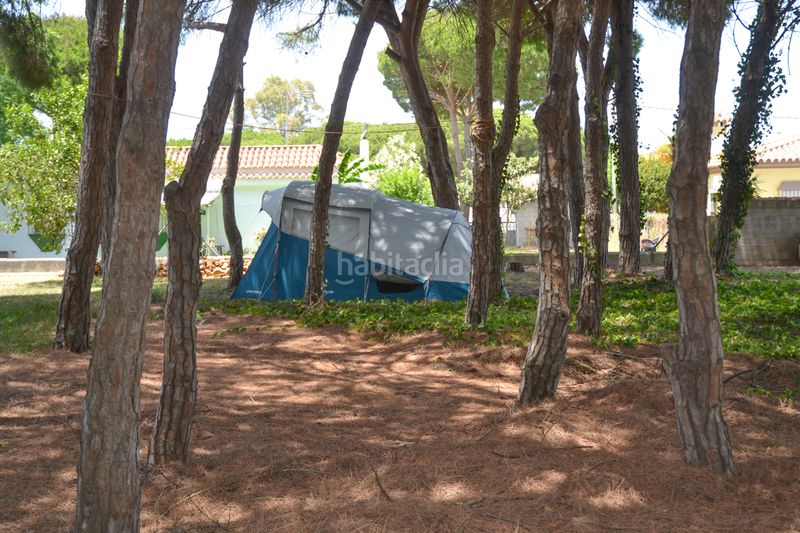 Foto ddbf99ea-2983-4920-bd7d-0b06a74d1e60. Masia a Las Lagunas - Campano Chiclana de la Frontera