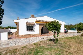 Haus in Pelagatos - Pago del Humo