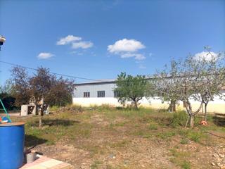 Nau industrial a Pozuelo de Calatrava. Finca con arboles frutales en venta con chalet y nave incorporad