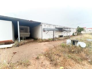 Nau industrial a Argamasilla de Calatrava. Amplia nave industrial en venta en argamasilla de calatrava