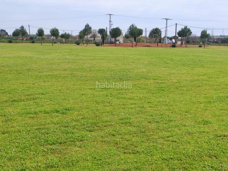 Foto 0644d204-b1f2-4ffa-a38f-4d9ded6fb7e3. Fondo rustico in Área Rual - Valverde - Las Casas Ciudad Real