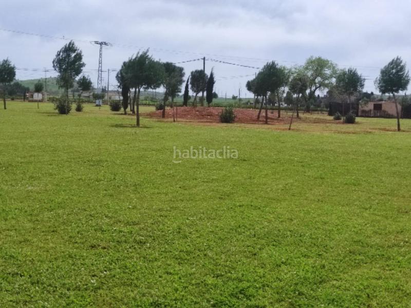 Foto 093ee70d-8a06-4321-a5f9-dce9f3c258e2. Fondo rustico in Área Rual - Valverde - Las Casas Ciudad Real