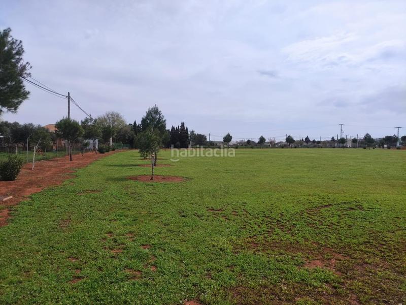 Foto 34e43ab9-5768-4f2a-9b94-a5abe740df61. Fondo rustico in Área Rual - Valverde - Las Casas Ciudad Real