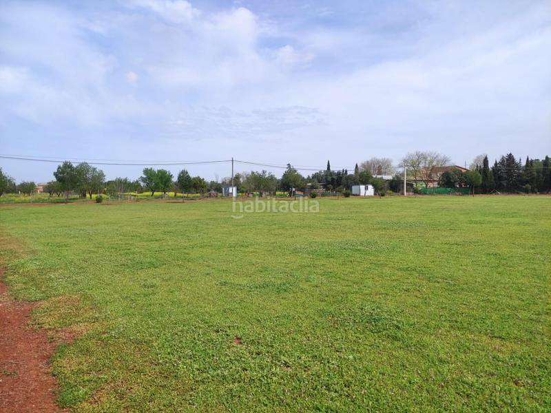 Foto 45a1375c-1990-41e8-9828-14d901bdb060. Fondo rustico in Área Rual - Valverde - Las Casas Ciudad Real