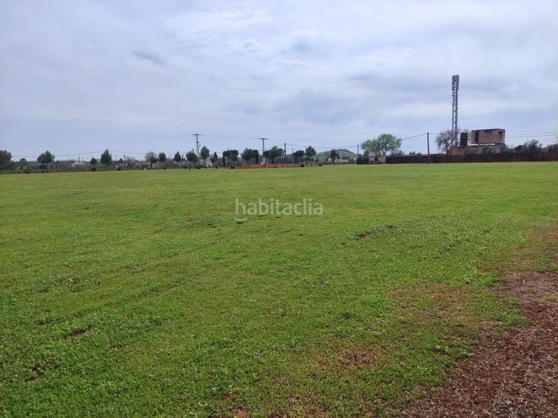 Foto 88be7e8e-1b18-4182-97f3-3bcff528f92d. Fondo rustico in Área Rual - Valverde - Las Casas Ciudad Real