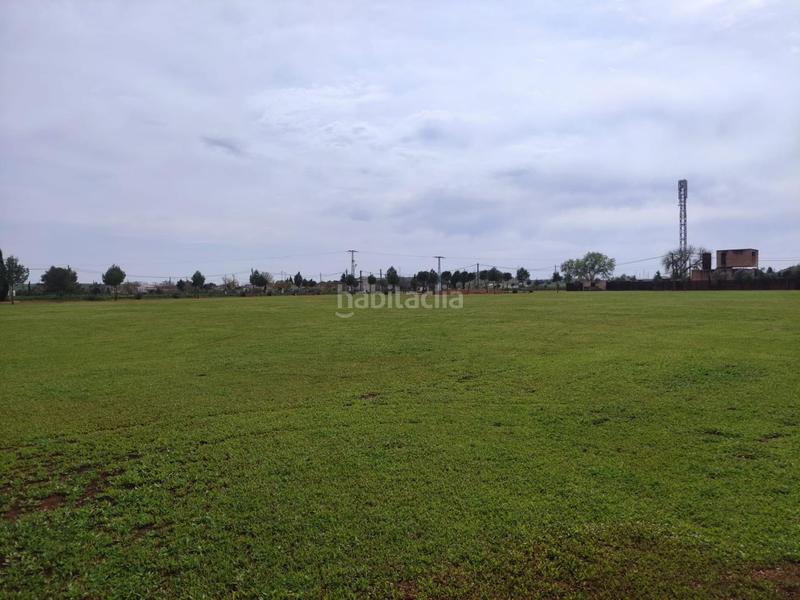 Foto b8595c4a-c2bd-41f1-9574-aa709c034174. Fondo rustico in Área Rual - Valverde - Las Casas Ciudad Real