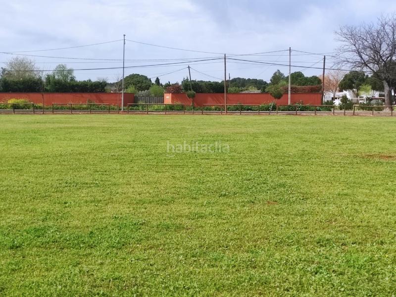 Foto d44d325c-fd96-4238-90a7-b0dc1372f6df. Fondo rustico in Área Rual - Valverde - Las Casas Ciudad Real