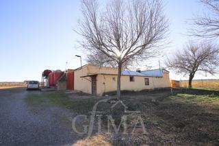 Propriété à Argamasilla de Alba. 30 ha de tierra de cultivo olivo y almendro, nave y establos ter
