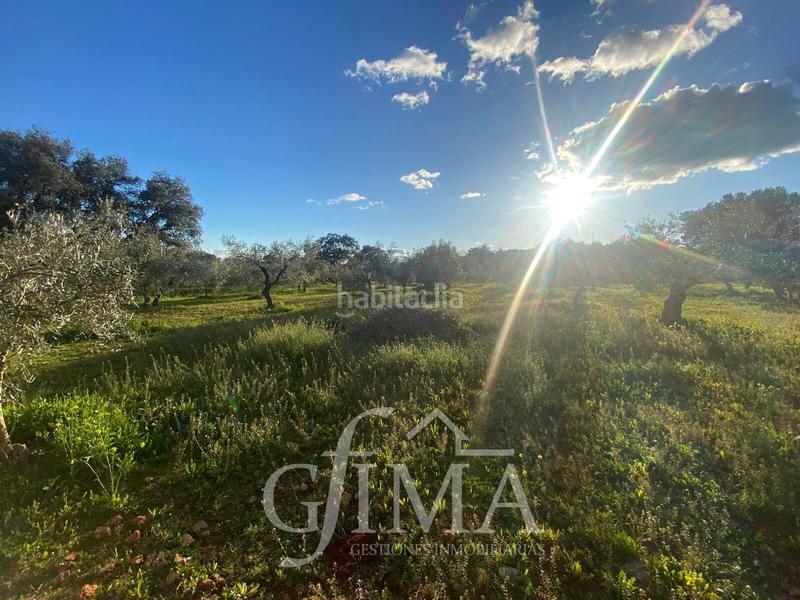 Foto 3e825c3d-6dc7-40ad-90c9-0c810955b59f. Casa con riscaldamento parcheggio piscina in Área Rual - Valverde - Las Casas Ciudad Real