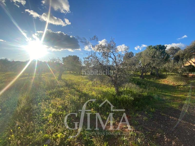 Foto 7d40e16b-e94d-49f5-ba05-623c6ef91a2e. Casa con riscaldamento parcheggio piscina in Área Rual - Valverde - Las Casas Ciudad Real