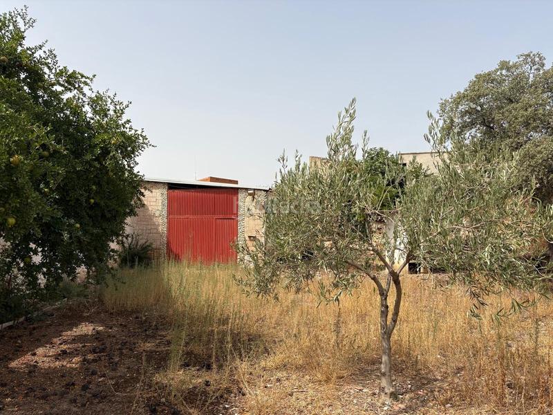 Foto 6de06cad-3e37-4712-94c1-70eeb72b6dbe. Casa adossada amb aparcament a Alcolea de Calatrava