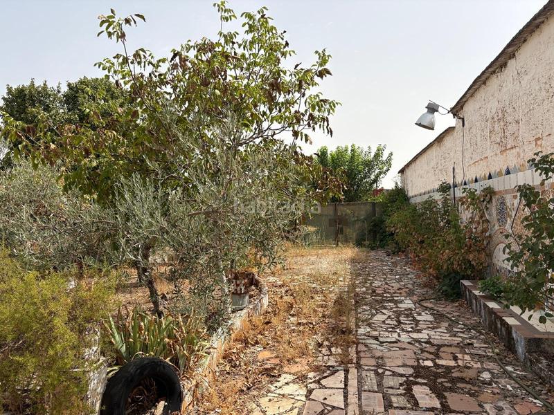 Foto e3d78305-d2e4-45d7-843e-d6d8aa741297. Casa adossada amb aparcament a Alcolea de Calatrava