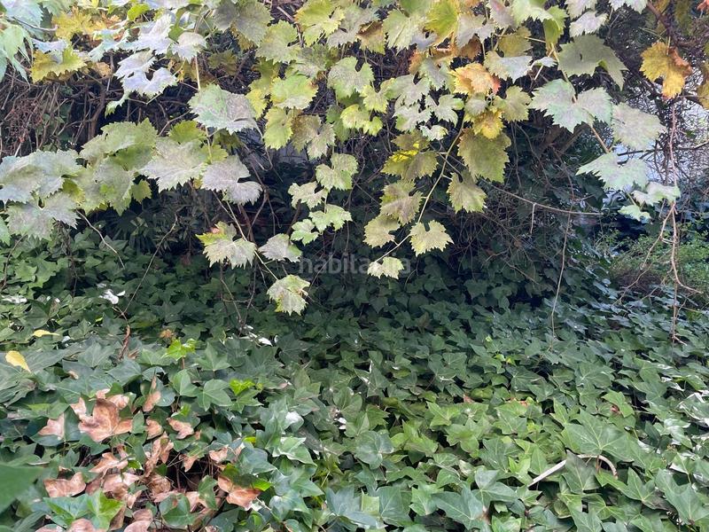 Foto 7a21592f-f0a8-4eda-a92d-4b19e1428919. Casa a Santa María - Pío XII Ciudad Real