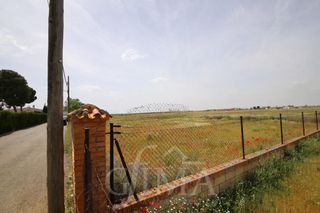 Residential Plot in Tomelloso. Parcela de 542 m2 de sup y 24 m de fachada situada en una exclus