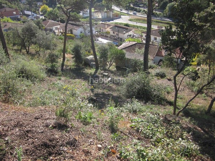 Foto 10f95267-04a8-4607-b5ac-c496cfd990e8. Terreno residencial parcel.la edificable a urb. terrafortuna - en Vidreres