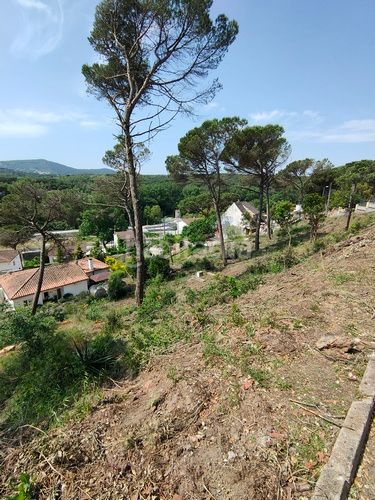 Foto 150599d4-91a3-4a13-b5be-7e4c3f2d0974. Terreno residencial parcel.la edificable a urb. terrafortuna - en Vidreres