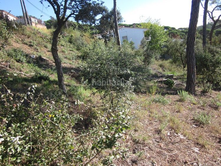 Foto 918a1890-3722-47fe-ba74-ec276b529886. Terreno residencial parcel.la edificable a urb. terrafortuna - en Vidreres